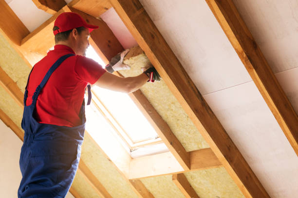 Best Insulation Air Sealing  in Grove Hill, AL